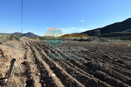 Terreno Rústico en Lorca zona Morata