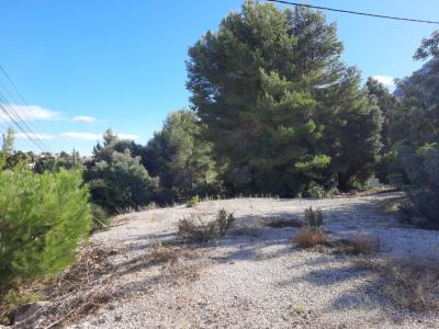 Parcela en zona Corral de calafat