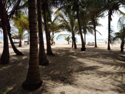 Paradise Beach 1