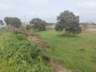 MARAVILLOSA PARCELA EN CHAPINERÍA