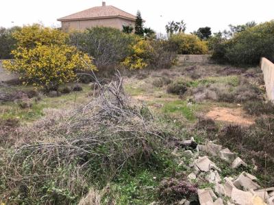 BUENA PARCELA EN TORREVIEJA EN FRENTE  DEL COLEGIO VIRGEN DEL CARMEN