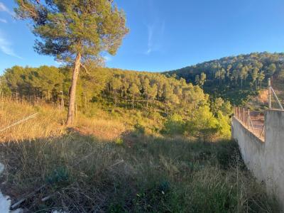 Fantastico terreno en Vallirana - En el sector el pinar, parte alta.