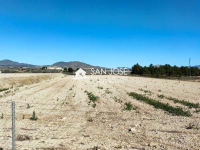 SE VENDE PARCELA PARA CONSTRUIR EN HORNA ALTA DE NOVELDA