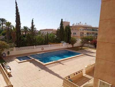 Apartamento en Torrevieja con piscina!, 54 mt2, 1 habitaciones