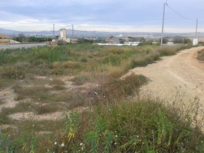 Se vende parcela rustica en la carretera de Mazarrón, 1200 mt2