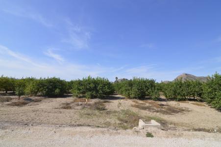 Se vende Terreno rural de 2.600m2 en la zona Vereda Los Cacheros en Santomera, Murcia.
