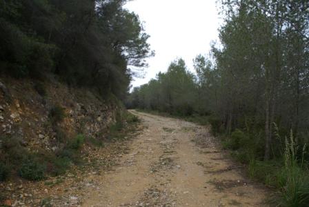 Terreno rústico a la venta en Cubelles Parc Natural del Foix