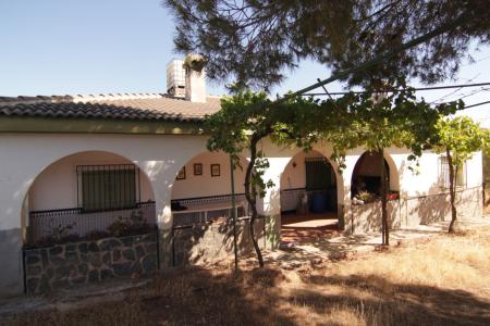 Gran casa en una planta con amplio terreno en Moraleda de Zafayona (Granada), 226 mt2, 5 habitaciones