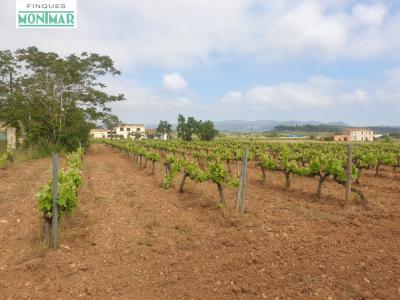 Venta finca Rústica de 32.311 m2 de viñedo en Castellet i la Gornal