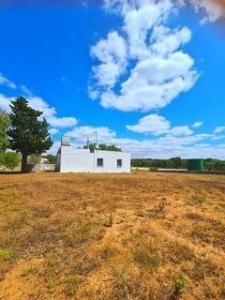 Se vende casita de campo segregada y con luz en entorno rural ., 58 mt2, 2 habitaciones