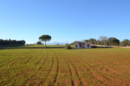 Finca en venta en Llubí, con proyecto de construcción aceptado., 75 mt2