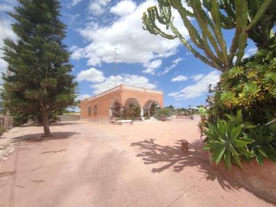 estupenda casa de campo a 5 minutos de elche no la dejes escapar, 180 mt2, 4 habitaciones