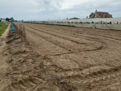 Solar de 4.750 m2, rústico con escrituras privadas, habitación apero, luz, agua,, 34 mt2