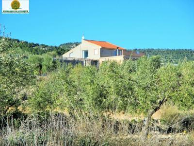 MARAVILLOSO CHALET CON CAMPO DE CULTIVO EN PLENA NATURALEZA!!!, 304 mt2, 8 habitaciones