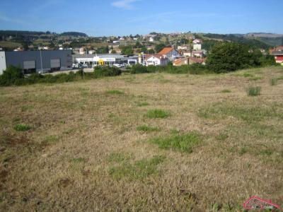 DOS PARCELAS EN REOCÍN - CANTABRIA, 2949 mt2