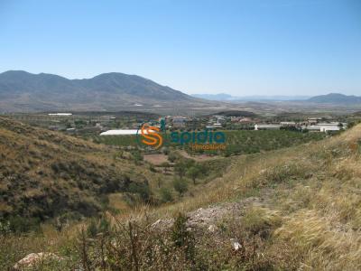 Parcela de 3Ha en pueblo de Goñar, cerca de Lorca y Pto Lumbreras con vistas panorámicas