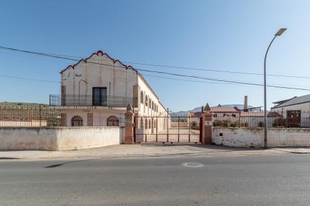 Almazara en Tocón de Íllora con parcelas urbanas y rústicas de olivar, 13921 mt2
