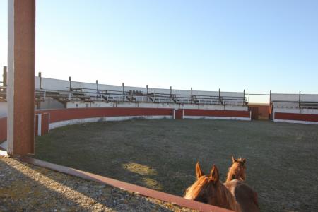 CENTRO HIPICO PARAJE CAÑO REAL, 1780 mt2