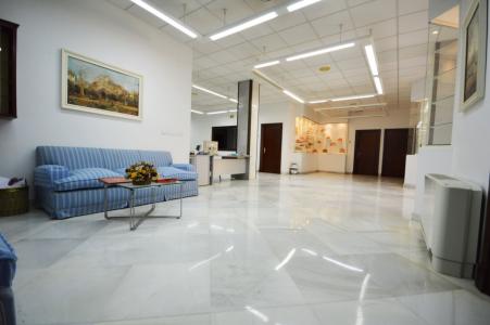 Oficinas en venta, zona Pio XII, de 560 m2. facilmente adaptable para cualquier otra actividad, 560 mt2