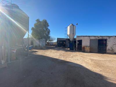 Granja en pleno funcionamiento cerca de Torreblanca, 2141 mt2