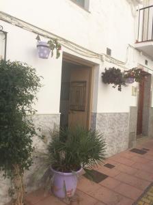 Casamata en venta en Estepona para reformar, 120 mt2, 2 habitaciones