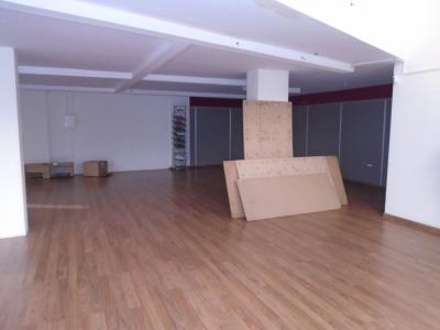 LOCAL COMERCIAL CON MUCHAS POSIBILIDADES, 244 mt2