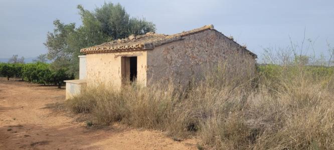 Finca rustica en venta Lliria, 30 mt2