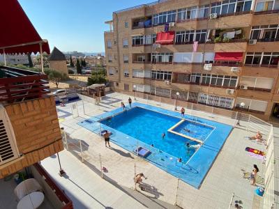 Apartamento con piscina en Torrevieja!, 55 mt2, 1 habitaciones