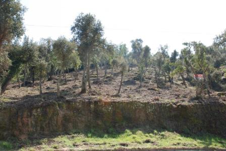 Parcela  situada en Vall Repòs Santa Cristina d'Aro