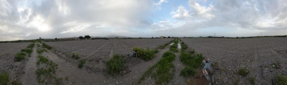 Terreno Rural en Lorca - Zona Torrecilla