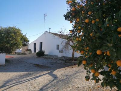 Casa de campo-Masía en Venta en Arcos De La Frontera Cádiz , 295 mt2, 2 habitaciones